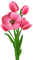Kaz_Creations Flowers Flower Deco - nemokama png animuotas GIF