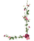 deco frame corner flowers kikkapink vintage - png gratis GIF animasi