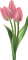 Flowers pink bp - darmowe png animowany gif