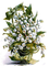 Rena Maiglöckchen Blumen Flowers - ingyenes png animált GIF