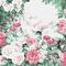 green pink milla1959 - 免费动画 GIF 动画 GIF