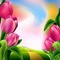 image encre couleur paysage fleurs tulipes printemps edited by me