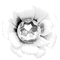Flower.White.Animated - KittyKatLuv65