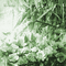 Y.A.M._Fantasy Landscape background green - Gratis geanimeerde GIF geanimeerde GIF
