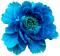 Kaz_Creations Deco Flowers Flower Colours - darmowe png animowany gif