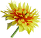 Kaz_Creations Deco Flowers Flower Yellow - darmowe png animowany gif