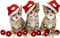 Kaz_Creations  Cats Kittens  Cat Kitten Christmas - PNG gratuit GIF animé