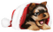 Kaz_Creations Christmas Dog Pup Dogs Colours - Free PNG Animated GIF