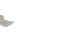 Owl Flying - Darmowy animowany GIF animowany gif