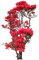 träd med blommor- röda----tree with flowers red - PNG gratuit GIF animé