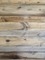 WOOD WALL BACKGROUND