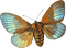 Kaz_Creations Deco Butterfly - PNG gratuit GIF animé