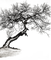Tree - ingyenes png animált GIF