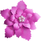 Kaz_Creations Christmas Deco Flower Colours - PNG gratuit GIF animé