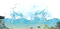 Aquarium - Free PNG Animated GIF