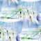 Background Snowdrop - PNG gratuit GIF animé