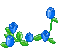 Blue Roses - Бесплатни анимирани ГИФ анимирани ГИФ