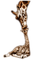Giraffe bp - zdarma png animovaný GIF