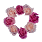 roses frame gif rose cadre - GIF animado gratis GIF animado