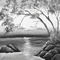 Y.A.M._Japan landscape background black-white - GIF เคลื่อนไหวฟรี GIF แบบเคลื่อนไหว