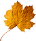 autumn leaf kikkapink - PNG gratuit GIF animé