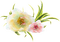 pink-yellow flowers-minou52