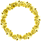 Roses.Circle.Frame.Yellow - PNG gratuit GIF animé
