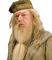 Albus Dumbledore - Free PNG Animated GIF