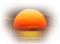 minou-solnedgång-sunset
