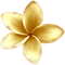 flores  dubravka4 - zadarmo png animovaný GIF