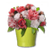 Kaz_Creations Deco Flowers Flower  Colours Plant Vase - δωρεάν png κινούμενο GIF