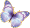 butterfly papillon gif deco insect spring glitter tube printemps