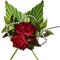 patymirabelle fleurs  rose rouge - PNG gratuit GIF animé