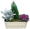 Kaz_Creations Garden Deco Flowers - besplatni png animirani GIF
