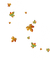 Leaves.Red.Green.Yellow.Orange - 免费PNG 动画 GIF