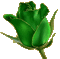 Flowers green bp - GIF animado gratis GIF animado