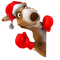 reindeer deer rentier renne fun animal christmas noel xmas weihnachten Navidad рождество natal tube