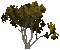 Дерева - 無料のアニメーション GIF アニメーションGIF