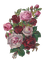 vintage roses - PNG gratuit GIF animé