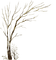 Winter.Tree.Arbre.Árbol.Victoriabea - PNG gratuit GIF animé