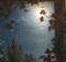 sun tree backgroud - PNG gratuit GIF animé