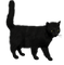 Kaz_Creations Cats Kittens Cat Kitten - PNG gratuit GIF animé