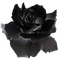 Flowers grey bp - png gratuito GIF animata