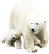 ours - bezmaksas png animēts GIF