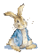 Rabbit.Lapin.Conejo.gif.Victoriabea - Nemokamas animacinis gif animuotas GIF