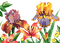 loly33 fleur aquarelle - bezmaksas png animēts GIF