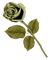 Tube Scrap-Décoration Rose - darmowe png animowany gif