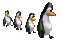 ani-djur-pingviner-pinguin - GIF animado grátis Gif Animado