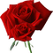 red rose flower fleur - Nemokamas animacinis gif