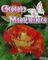 Good Morning Butterfly and Roses GIF - Бесплатный анимированный гифка анимированный гифка